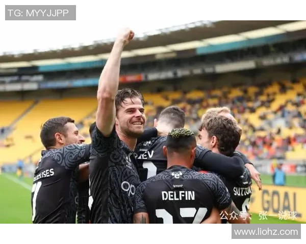 威灵顿凤凰主场迎战墨尔本球队争夺胜利的精彩对决 威灵顿凤凰主场迎战墨尔本球队争夺胜利的精彩对决