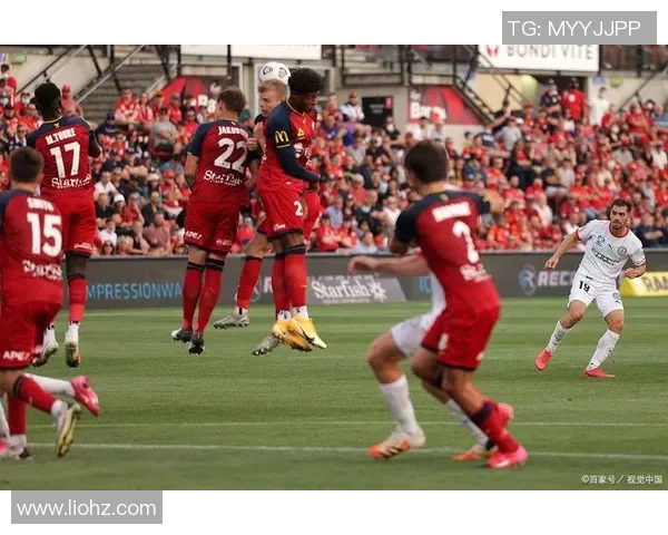 墨尔本城主场迎战惠灵顿凤凰争夺胜利的精彩对决 墨尔本城主场迎战惠灵顿凤凰争夺胜利的精彩对决