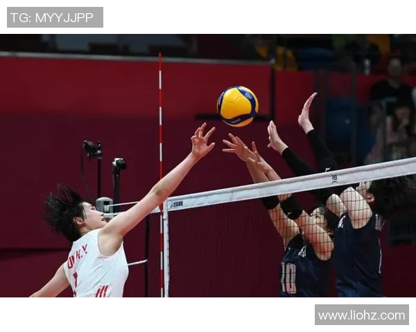 杭州排球队灵活性引发热议球迷与专家观点大碰撞